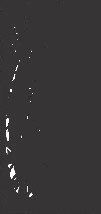 Panel Decorativo Playa en Lámina Negra